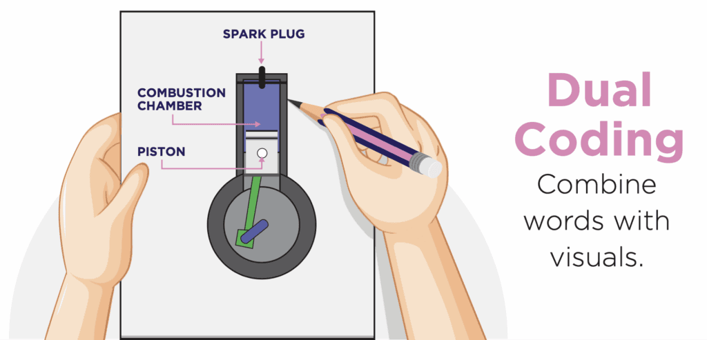 Example of Dual Coding