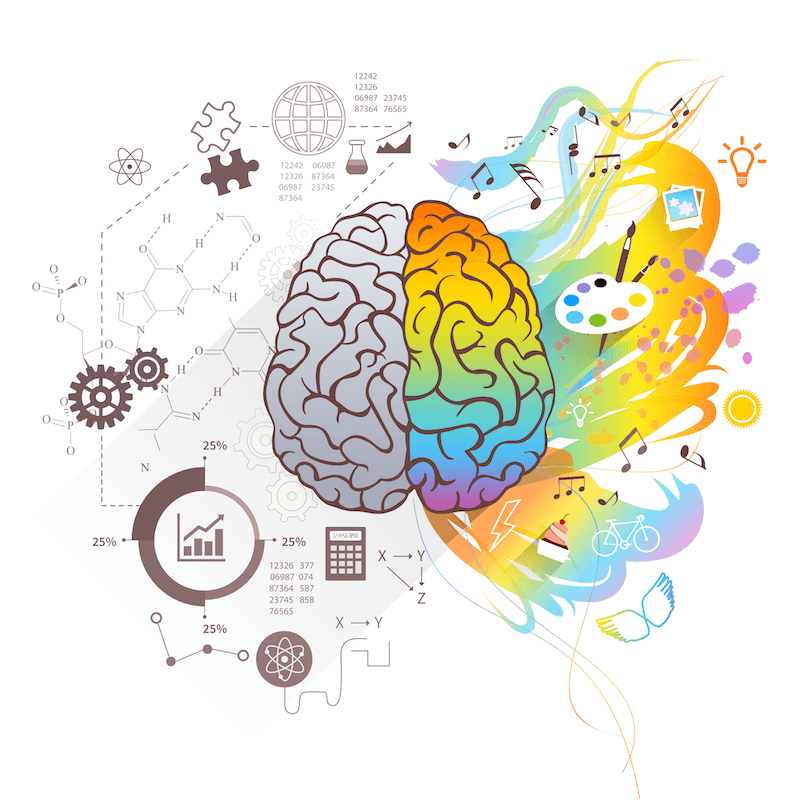Brains and Learning Styles